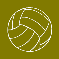Ballon de sport
