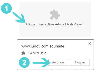 Cliquez pour activer, puis autoriser Adobe Flash Player.