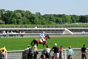Course de chevaux