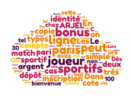 Les paris sportifs en ligne.