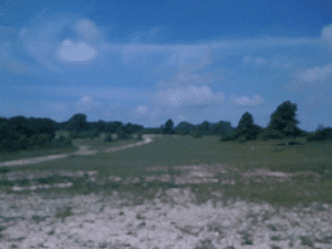 paysage2