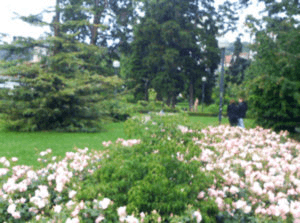 Discussion dans un parc