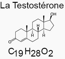 testosterone-bluff