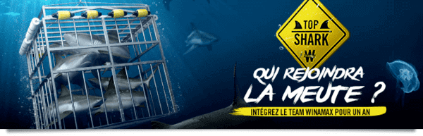 Top Shark Academy.